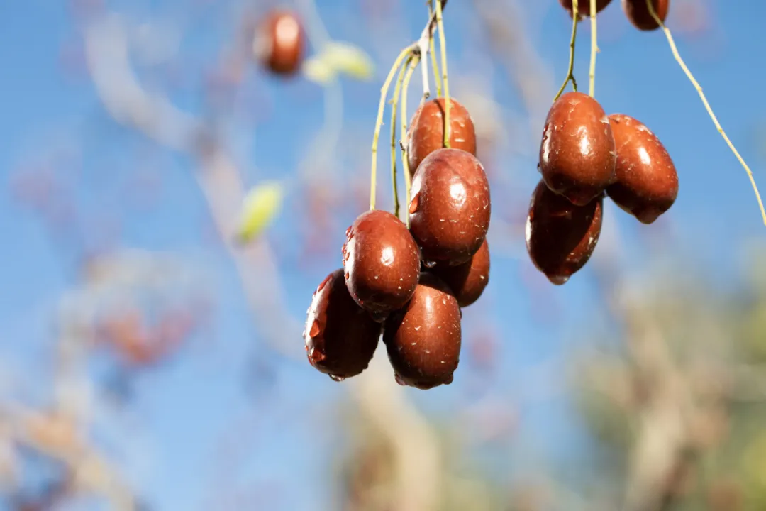 f95e4c7d62ff5aeada78e525b7e15bde.png f95e4c7d62ff5aeada78e525b7e15bde.png