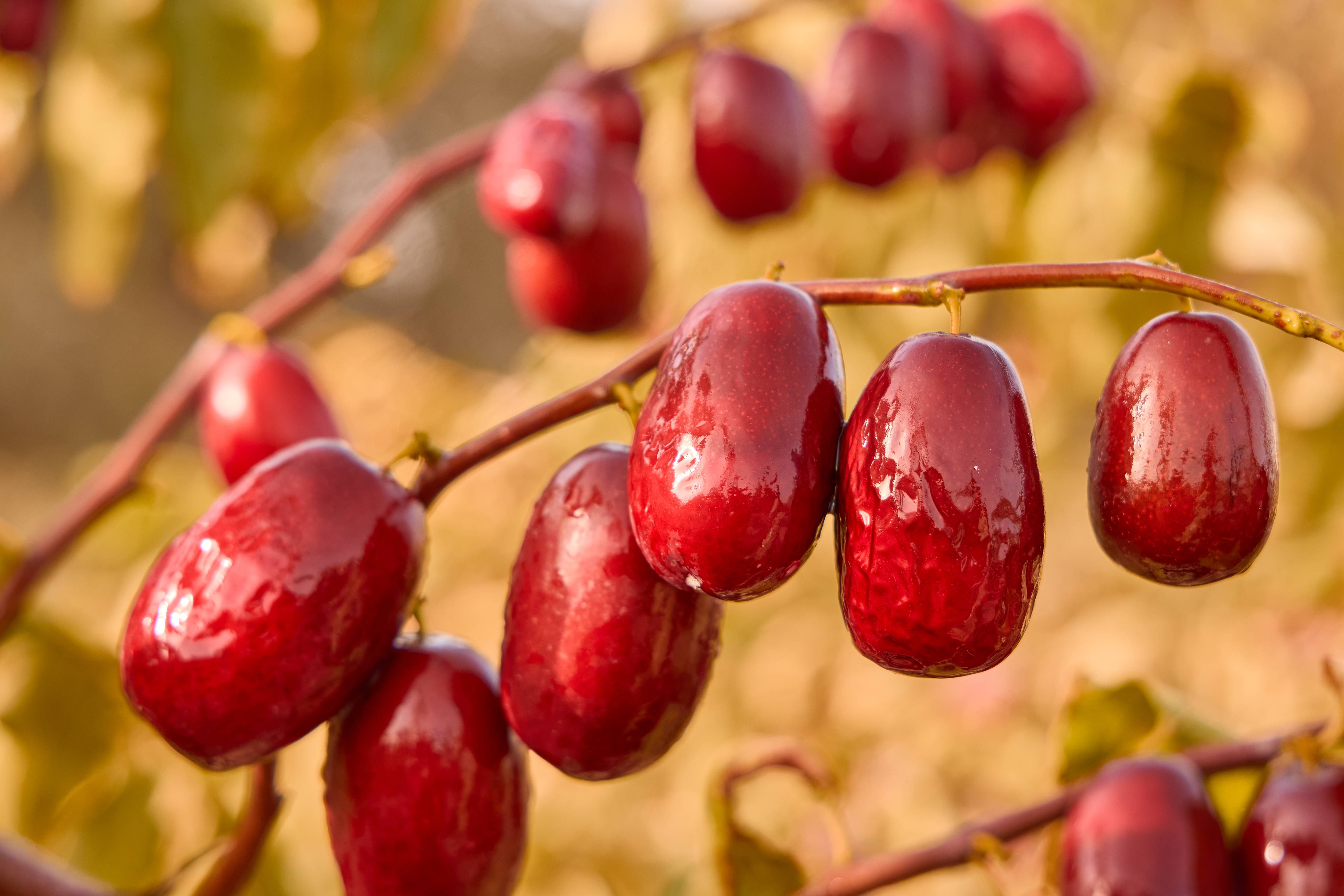 1741315241775957.jpg 微信圖片_20241129161811.jpg