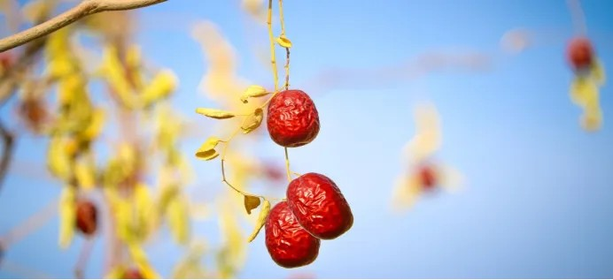 1750836423433023.png vz09vy5n.png