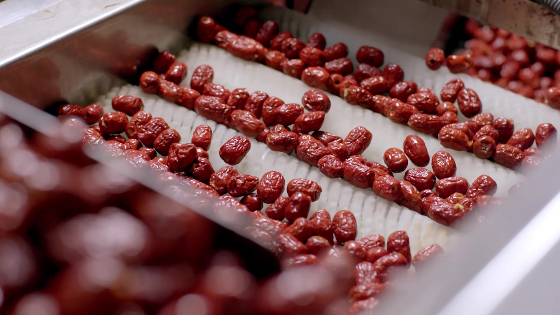 1758362220769034.jpg 去核紅棗篩選.jpg